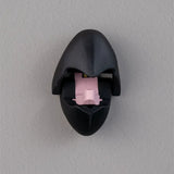 Parrot Beak Coat Hook