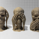 Skulls of Wisdom Display Piece