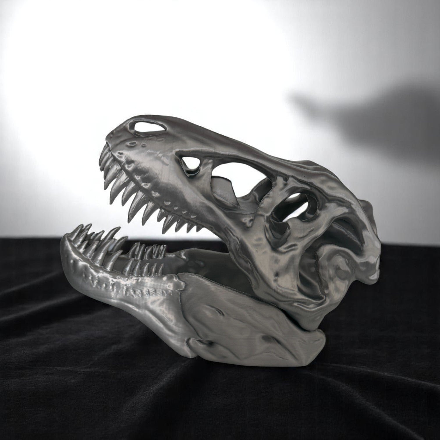 T-Rex Skull Display Piece