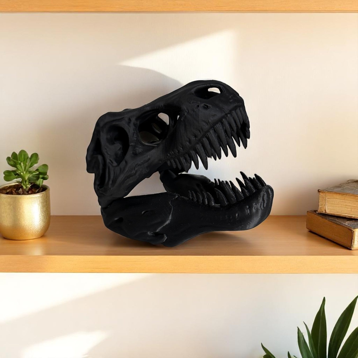T-Rex Skull Display Piece