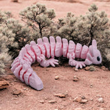 Flexi Fidget - Axolotl
