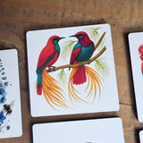 Flora and Fauna Wooden Coasters