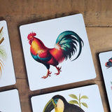 Flora and Fauna Wooden Coasters
