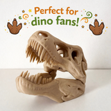 T-Rex Skull Display Piece