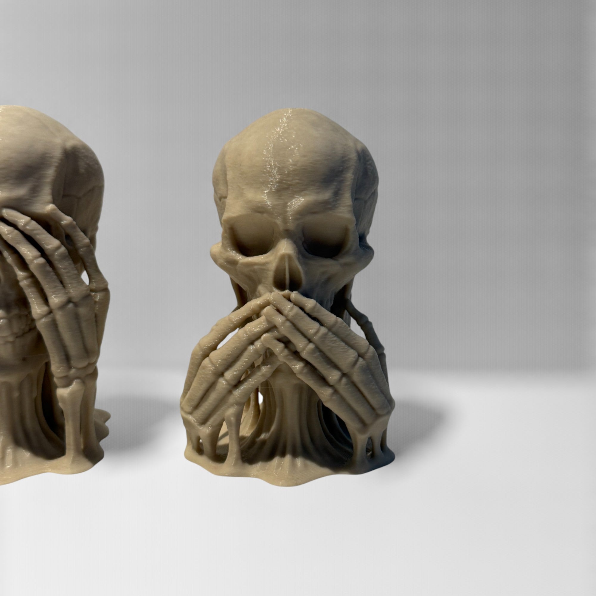 Skulls of Wisdom Display Piece