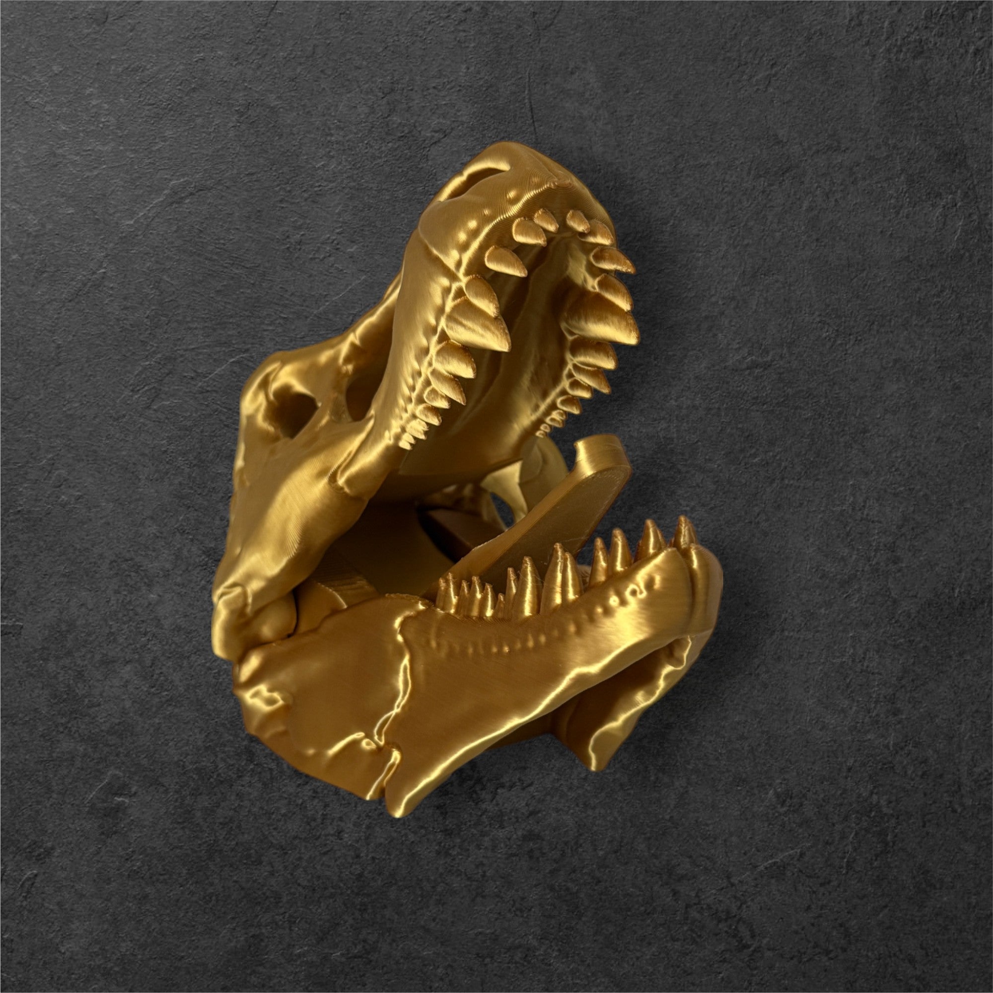 Dinosaur Skull Coat Hook