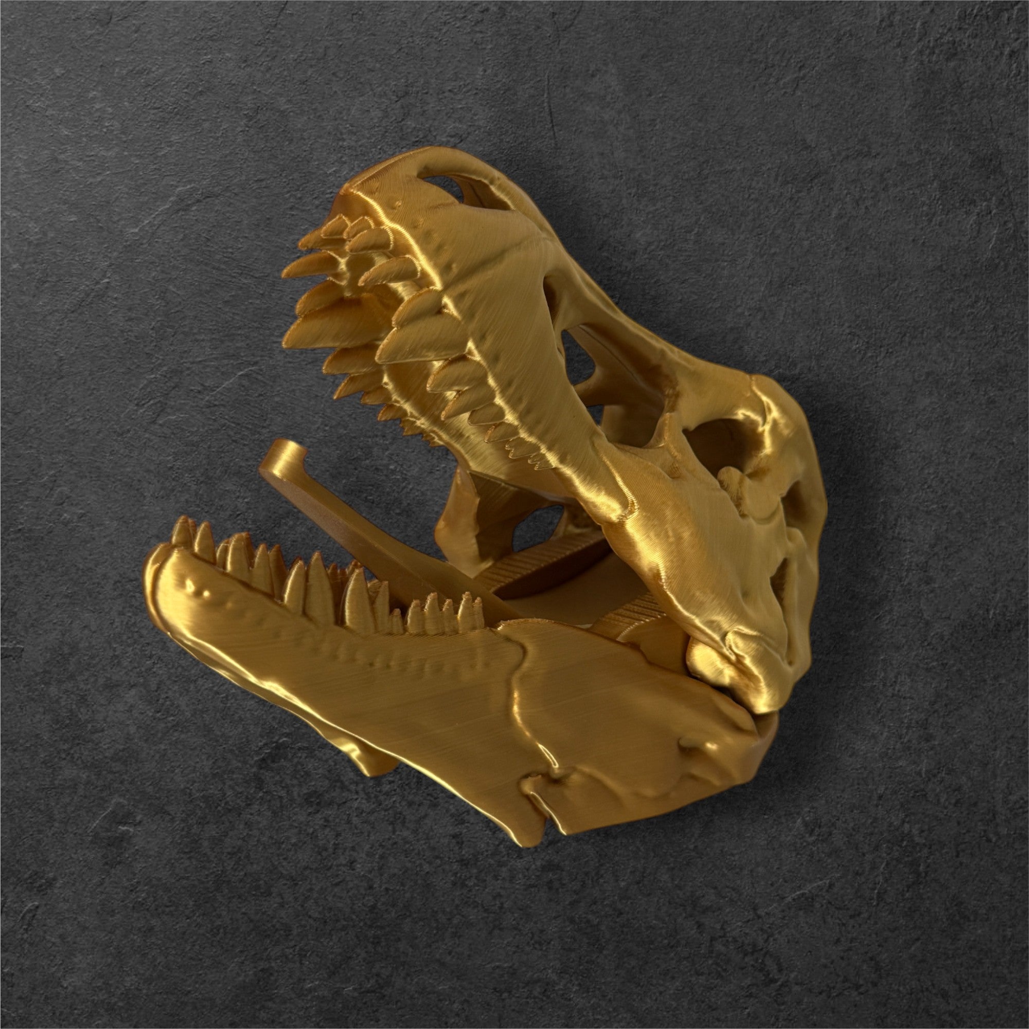 Dinosaur Skull Coat Hook