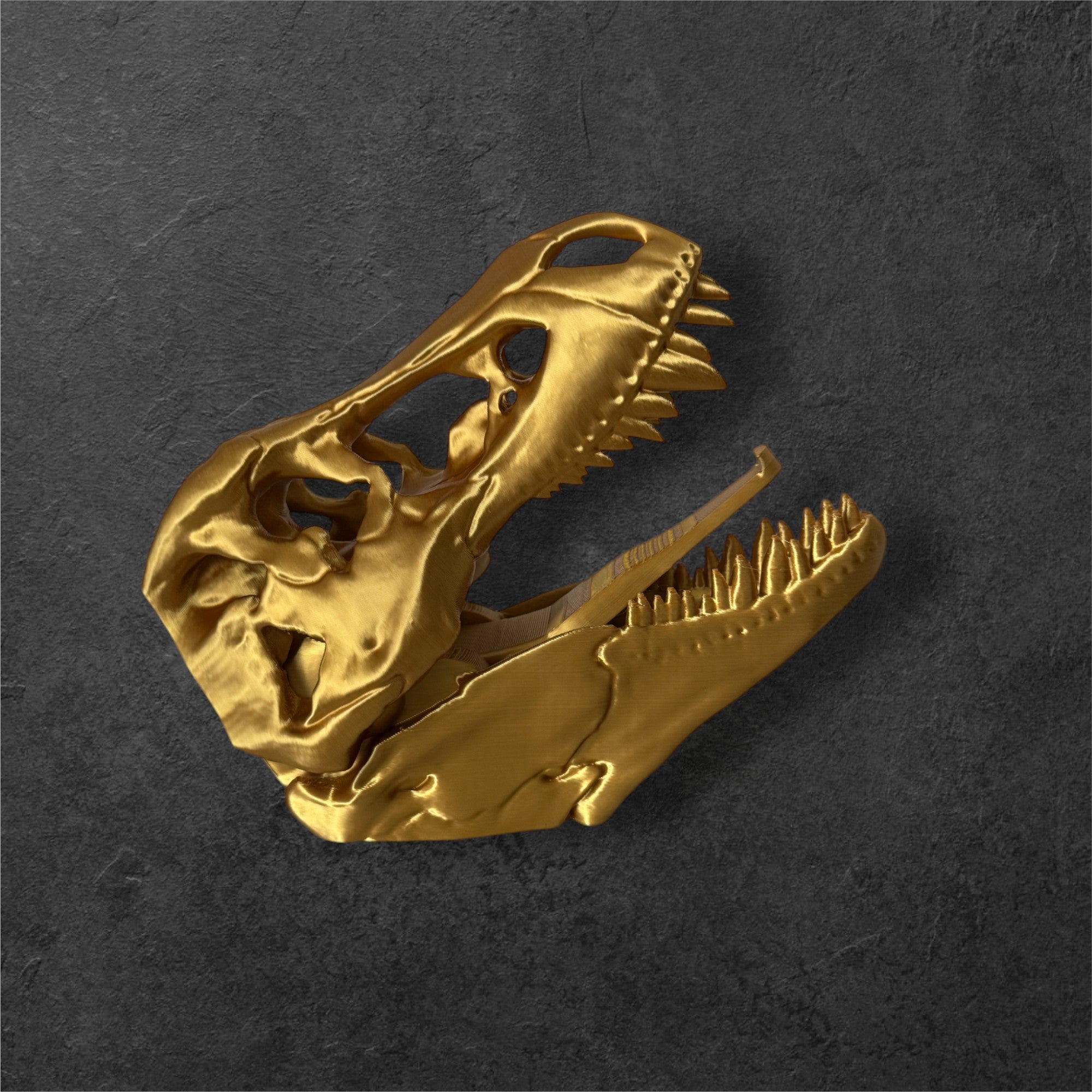 Dinosaur Skull Coat Hook