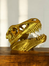 T-Rex Skull Display Piece
