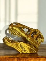T-Rex Skull Display Piece