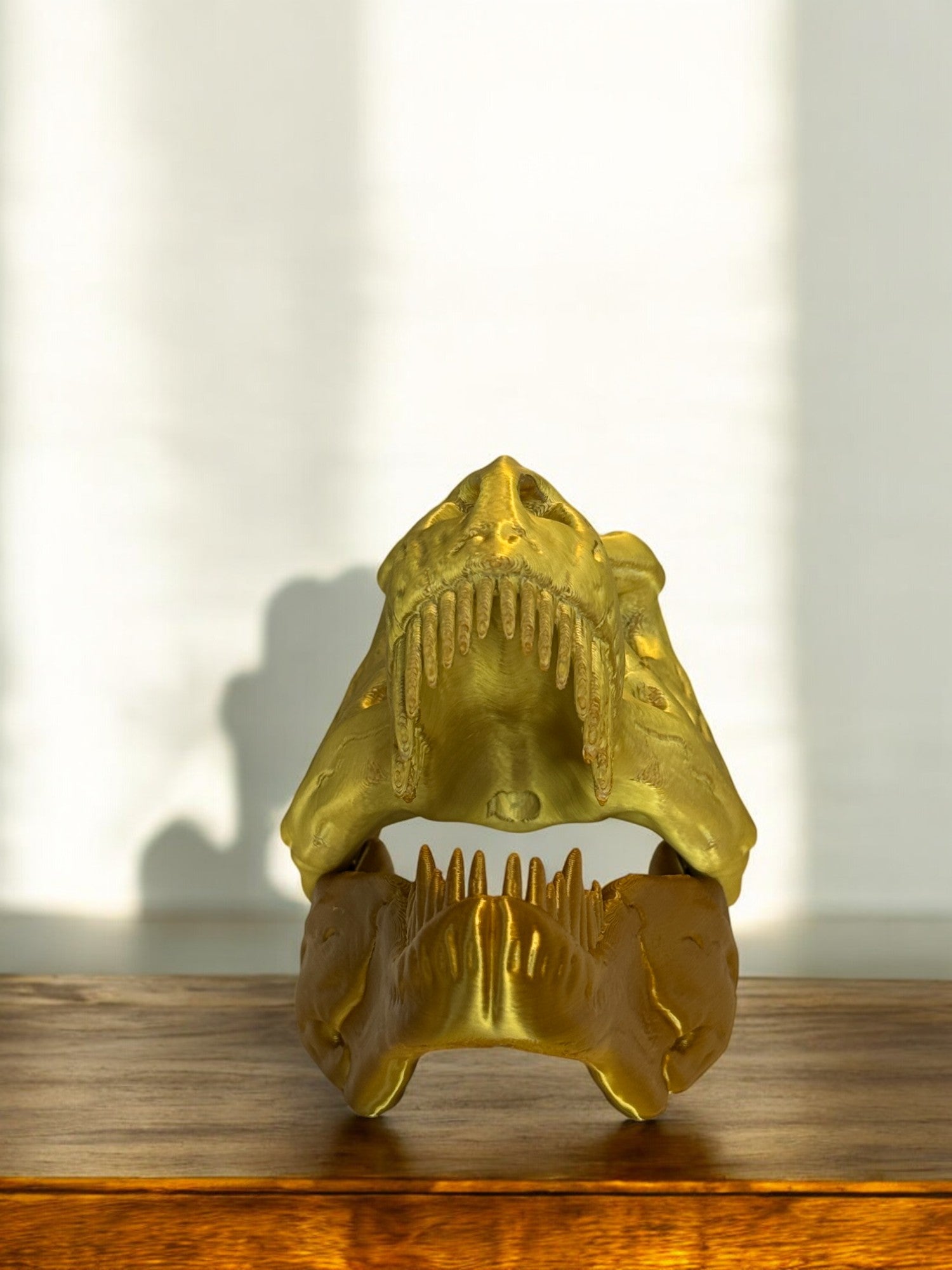 T-Rex Skull Display Piece