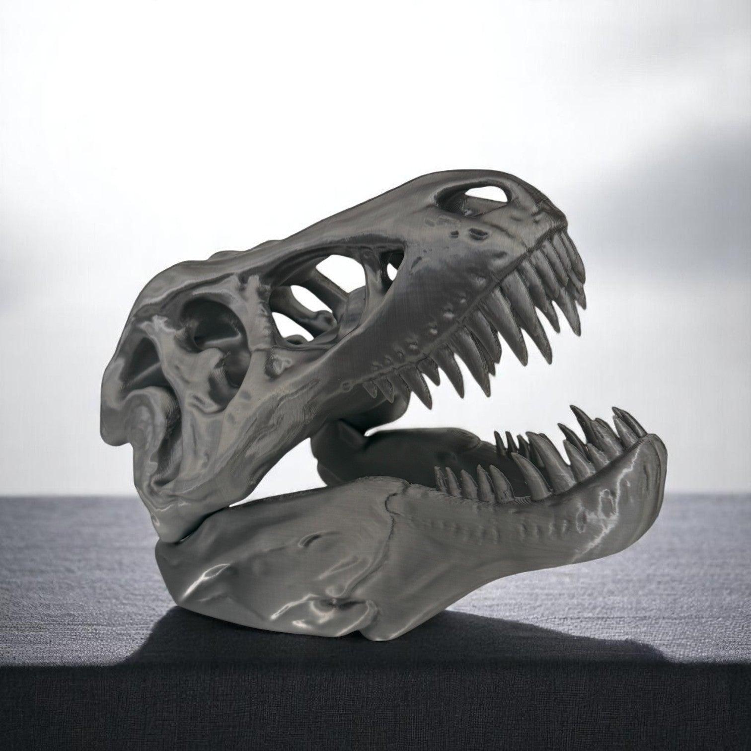 T-Rex Skull Display Piece