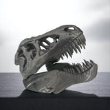 T-Rex Skull Display Piece