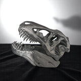 T-Rex Skull Display Piece