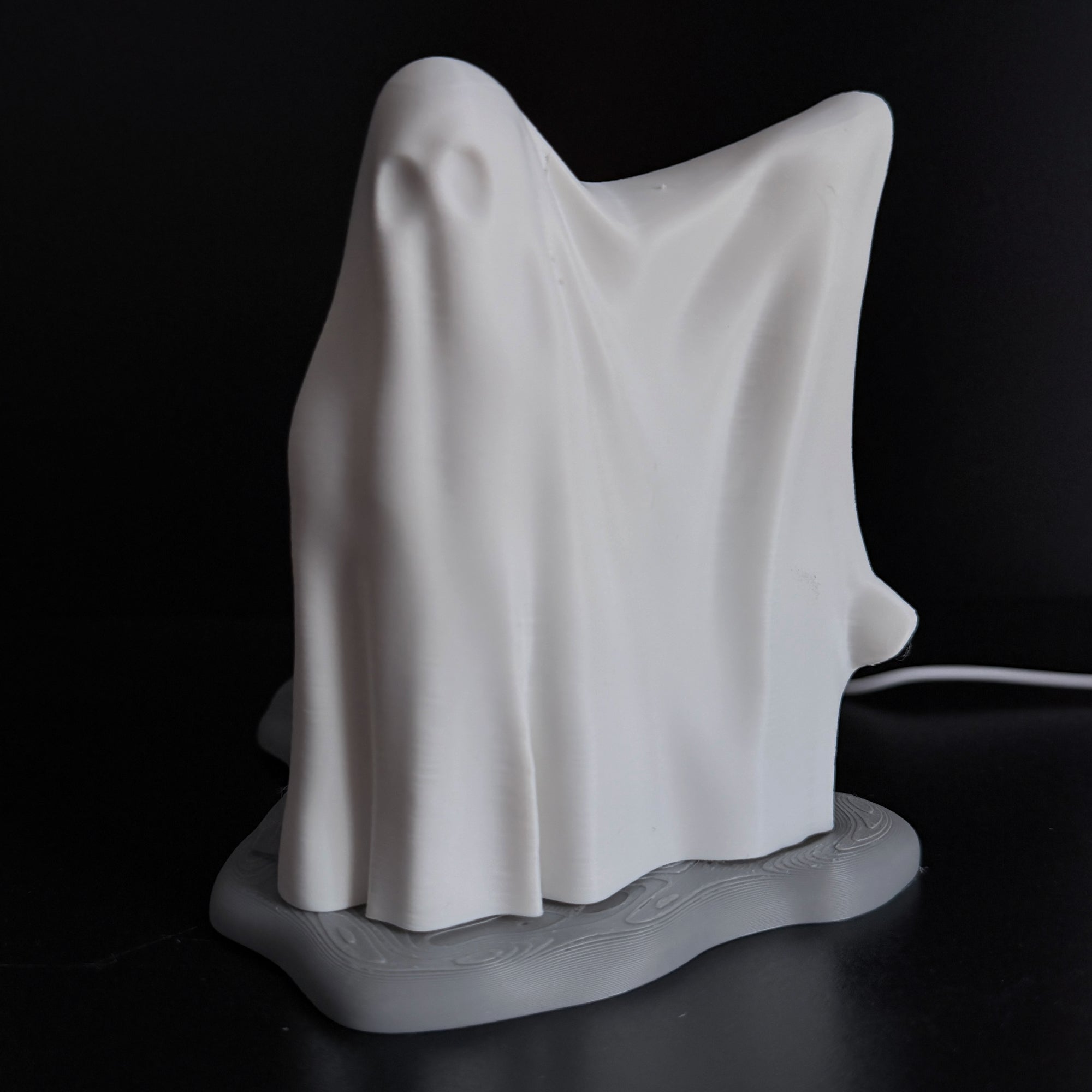 Light Up Skeleton & Ghost Halloween Decoration