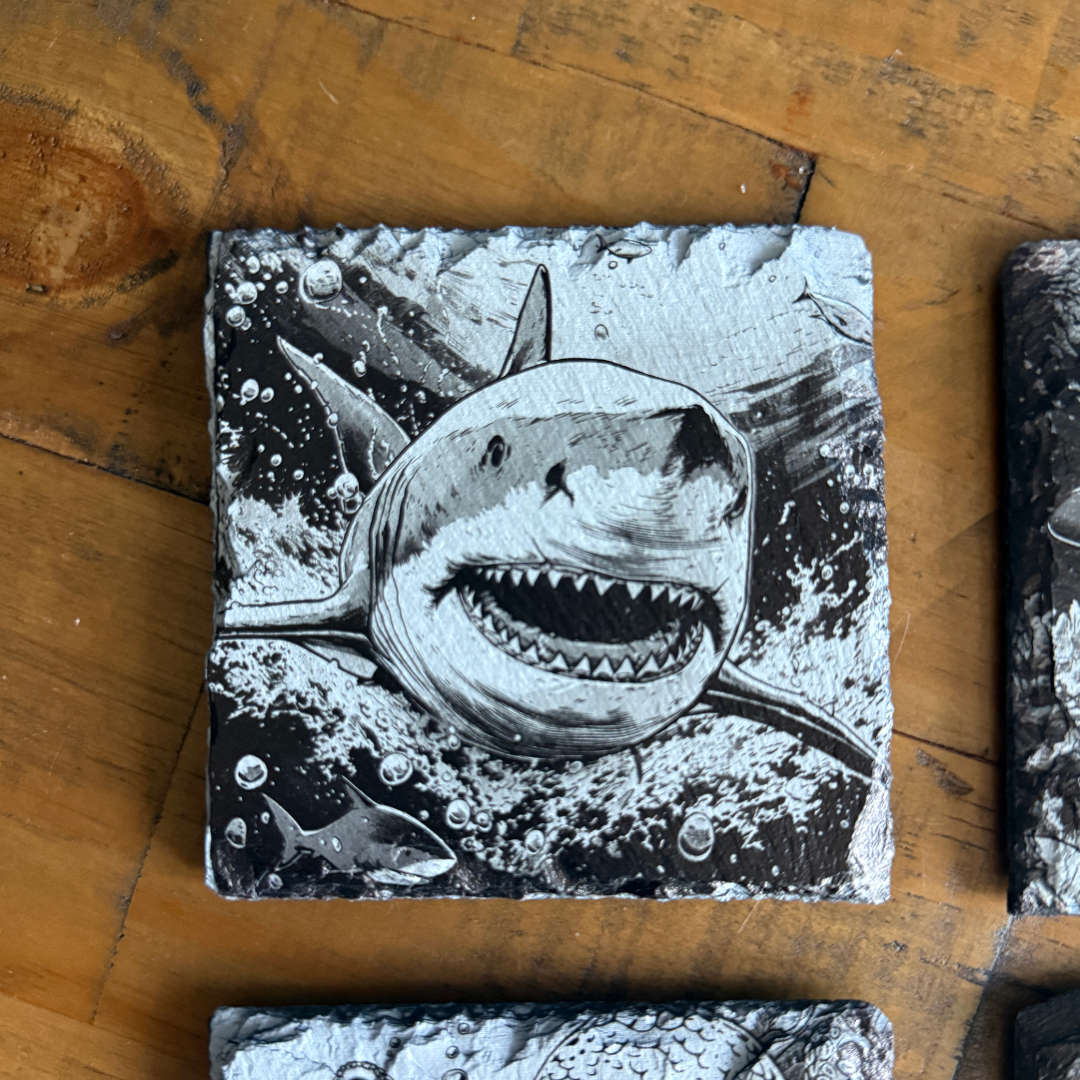 Under The Seas Single Slate Coaster - Shark