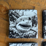 Under The Seas Single Slate Coaster - Shark
