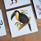 Flora and Fauna Wooden Coasters