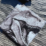 Dinosaur Slate Coasters - Set of 4 #1