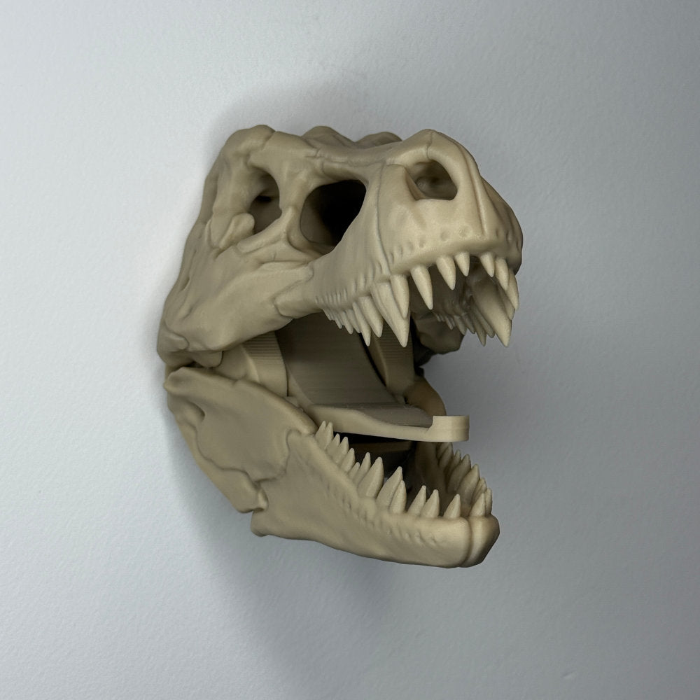 Dinosaur Skull Coat Hook