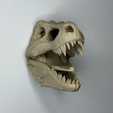 Dinosaur Skull Coat Hook