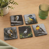 Wings of the Wild Slate Coasters