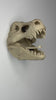 Dinosaur Skull Coat Hook